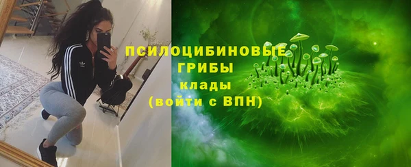 дурь Богородицк