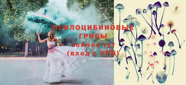 COCAINE Богородск