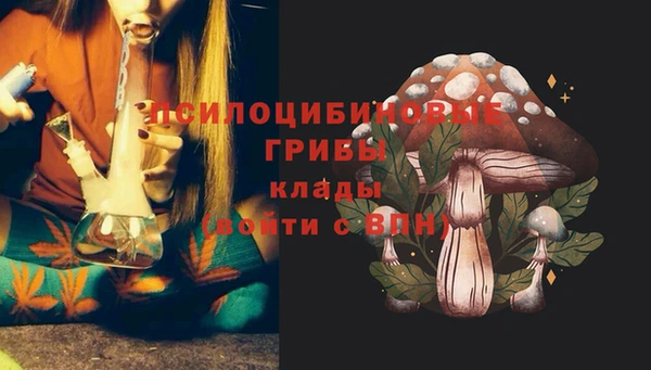 дурь Богородицк